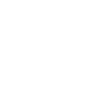 Support icon